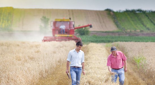 benefícios dos cooperados