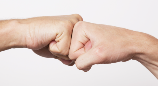 cooperativa direitos e deveres