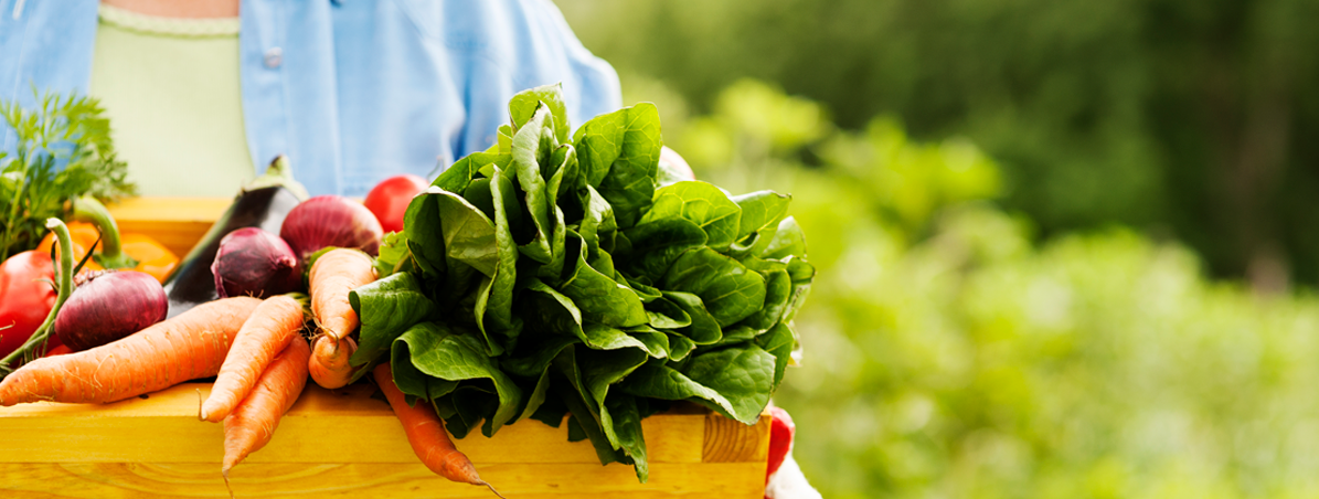 Banner - A moda agora é desacelerar e repensar – Consumo Consciente