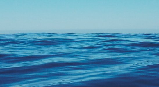 O impacto ambiental de pequenas atitudes