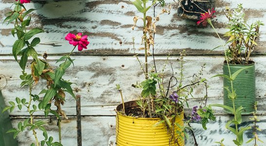 Conheça o ROI de Sustentabilidade