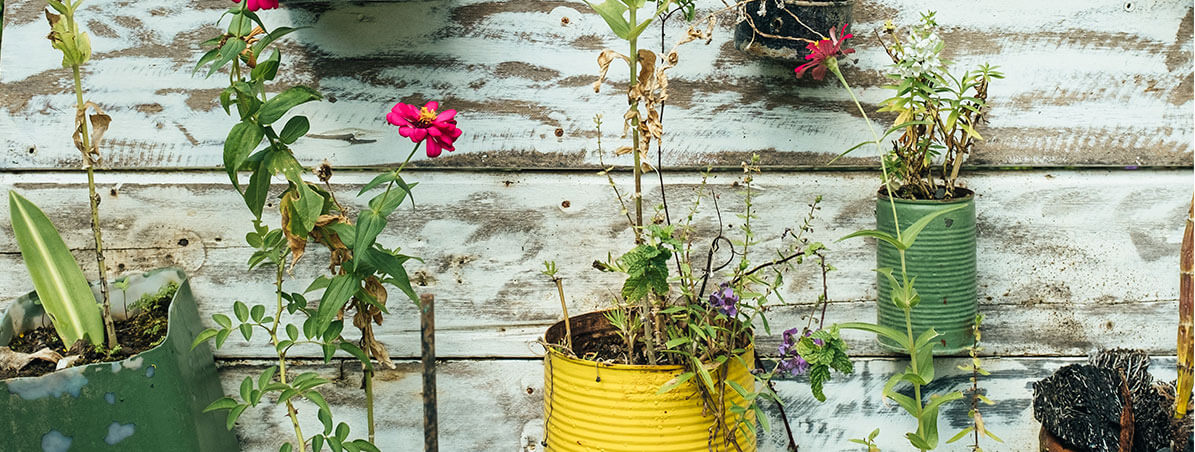 Banner - Conheça o ROI de Sustentabilidade