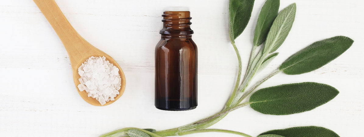 Banner - 7 plantas com poderes medicinais e repelentes