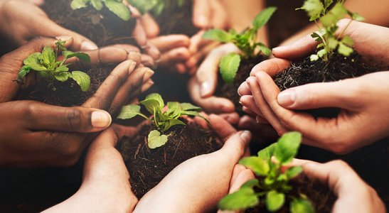O cooperativismo e o meio ambiente