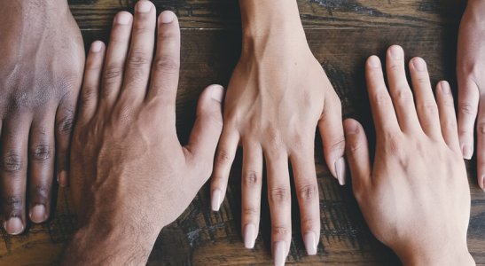 close de mãos de várias cores