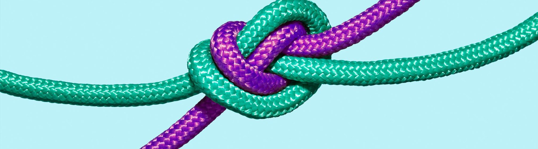 Banner - Cooperativismo de crédito no Nordeste do Brasil