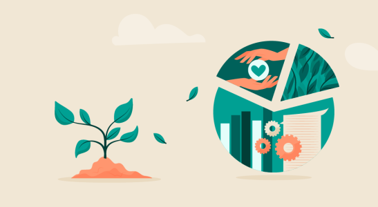 Aplicar a sustentabilidade desde a governança corporativa é fundamental para que uma empresa garanta impactos socioambientais positivos.