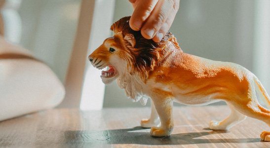 Veja como destinar parte do seu IR a projetos sociais ou deduzir doações realizadas