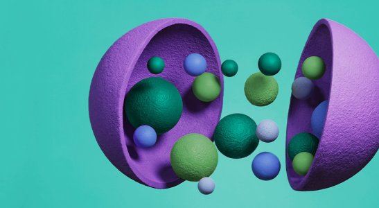 Controle de dados, conveniência, variedade: entenda essas e outras vantagens