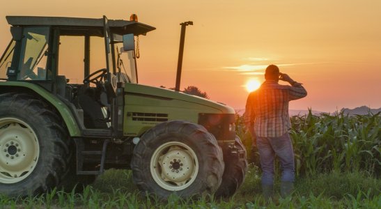 Agronegócio e cooperativismo financeiro