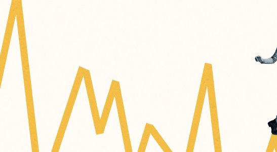 Características de cada perfil e investimentos recomendados.