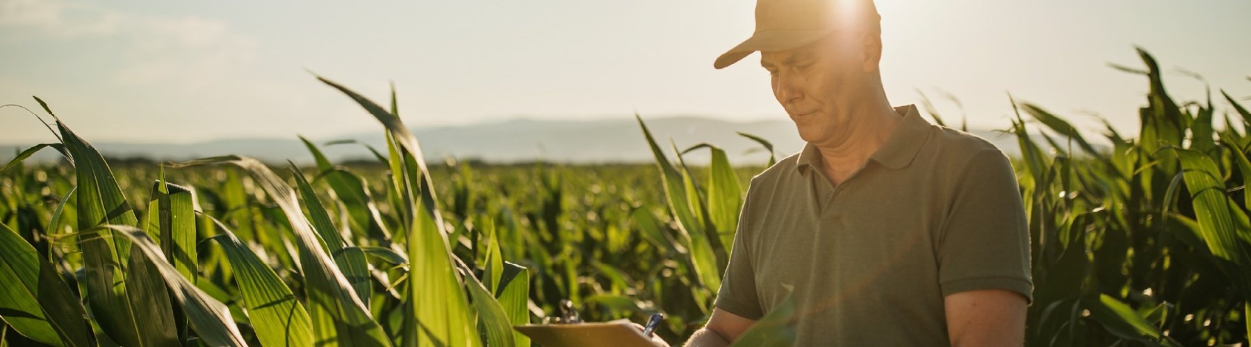 Banner - <strong>Finanças do Agro: siglas que você precisa conhecer</strong>