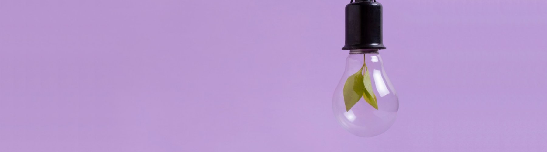 Banner - Cooperativas aplicam sustentabilidade na prática