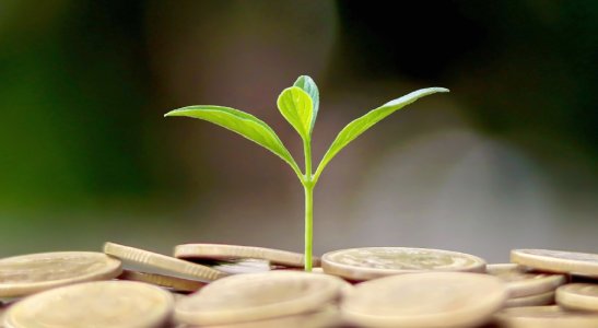 Um dos pilares do desenvolvimento sustentável, a sustentabilidade econômica ainda é um tema pouco explorado. Entenda o conceito.