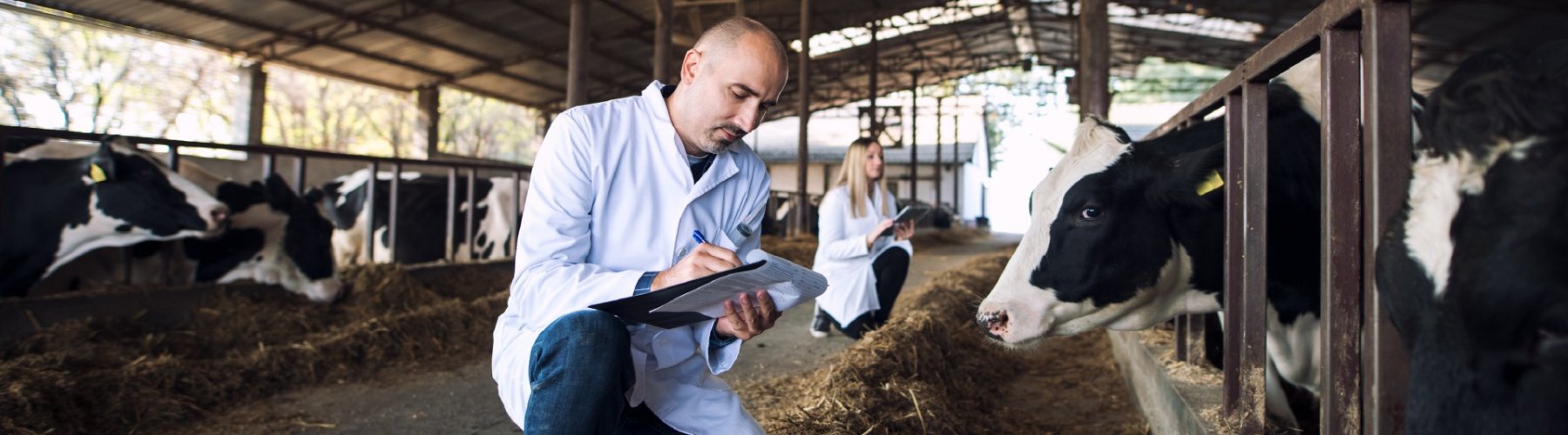 Banner - Financiamentos para projetos agropecuários sustentáveis