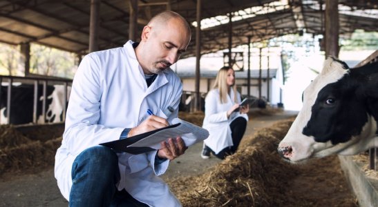 Dos programas federais no contexto do Plano Safra à nova linha de crédito do BID para projetos agropecuários sustentáveis, sem esquecer do crédito rural cooperativo.