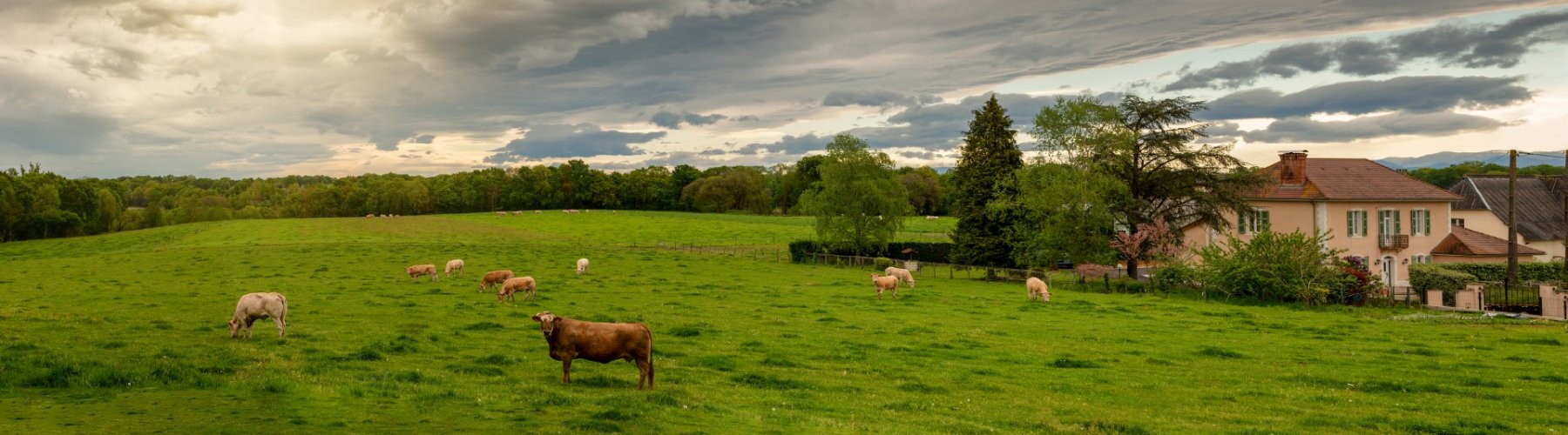 Banner - Como preparar sua propriedade para o turismo rural
