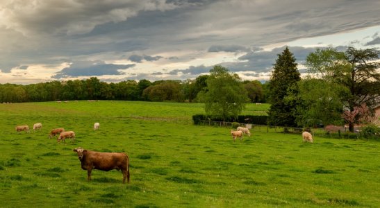 Estruturas necessárias, ideias de serviços, dicas financeiras e muito mais.
