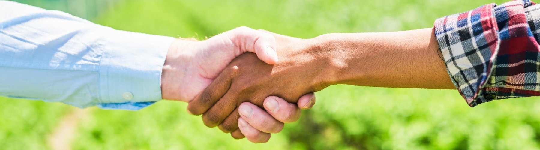 Banner - Cooperativas financeiras e do agro: uma união frutífera