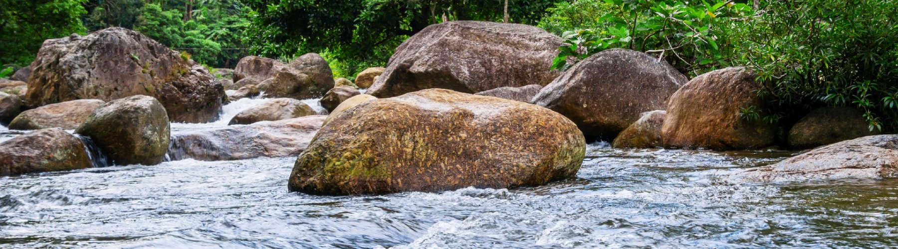 Banner - Preservação pela cooperação em São Miguel do Oeste