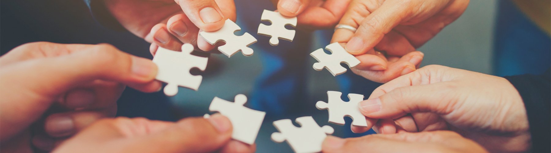 Banner - <strong>MaxiAmigo: projeto une sustentabilidade ambiental e social</strong>