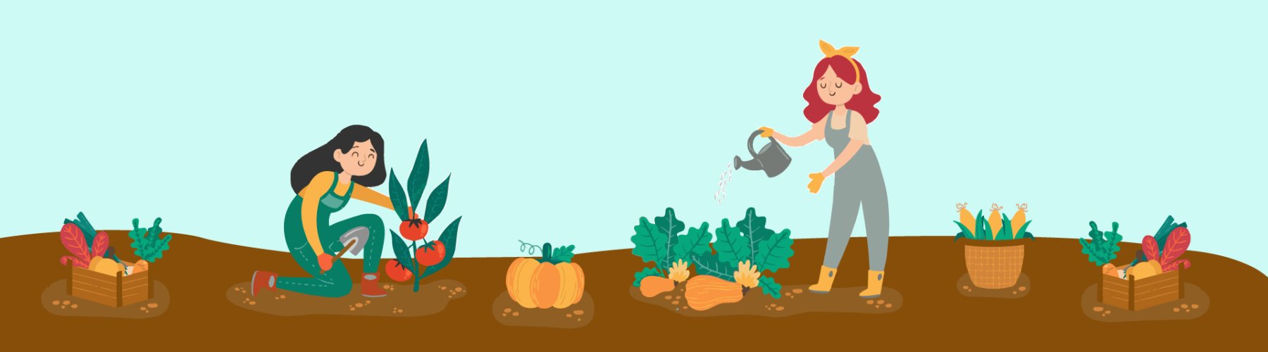 Banner - <strong>Projetos dão incentivo às mulheres do campo</strong>