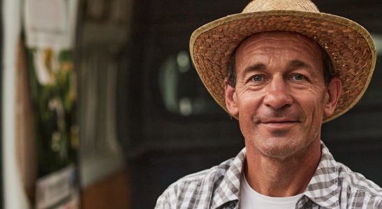 O boom das cooperativas financeiras nas pequenas cidades: por que elas crescem onde os bancos saem