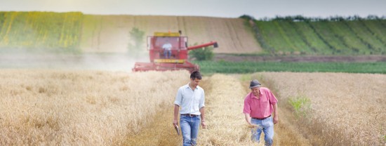 Cooperativas: o insumo do sucesso para produtores rurais.