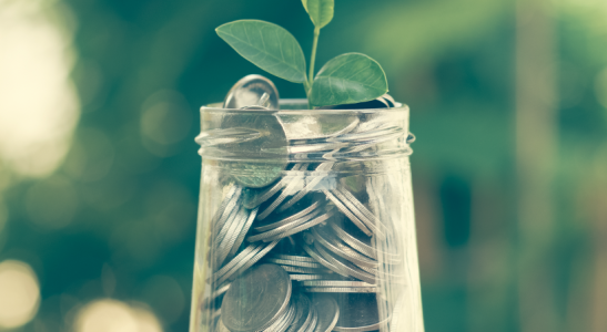 maneiras de poupar dinheiro.