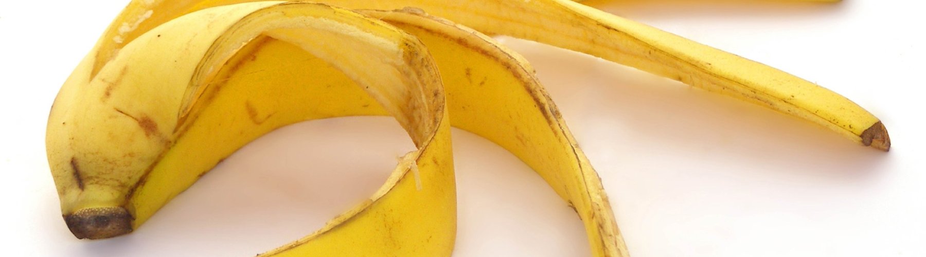 Banner - 15 receitas com cascas e talos de frutas, legumes e verduras