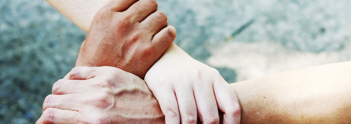 Banner - A solidez do cooperativismo