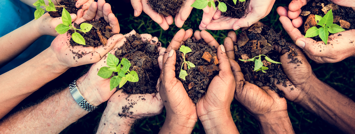 Banner - O que o cooperativismo tem a ver com a sustentabilidade?