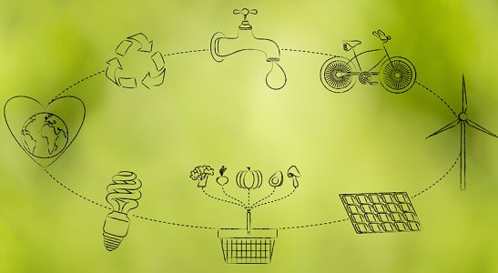 Os 12 princípios do Consumo Consciente