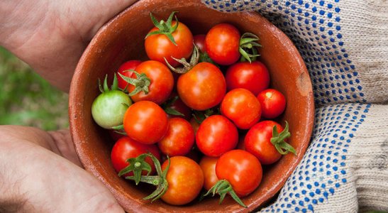 Você sabe o que é Economia Solidária?