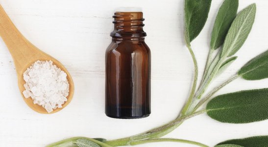 7 plantas com poderes medicinais e repelentes