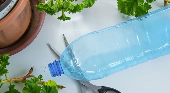 Atitudes sustentáveis na escola e no trabalho