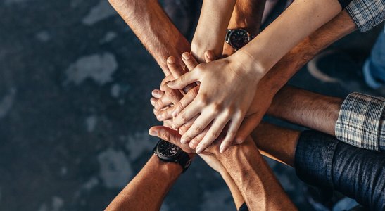 Já pensou em trabalhar em uma cooperativa?