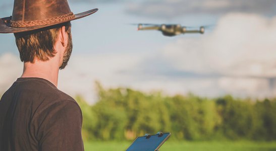 Startups, fintechs e agronegócio