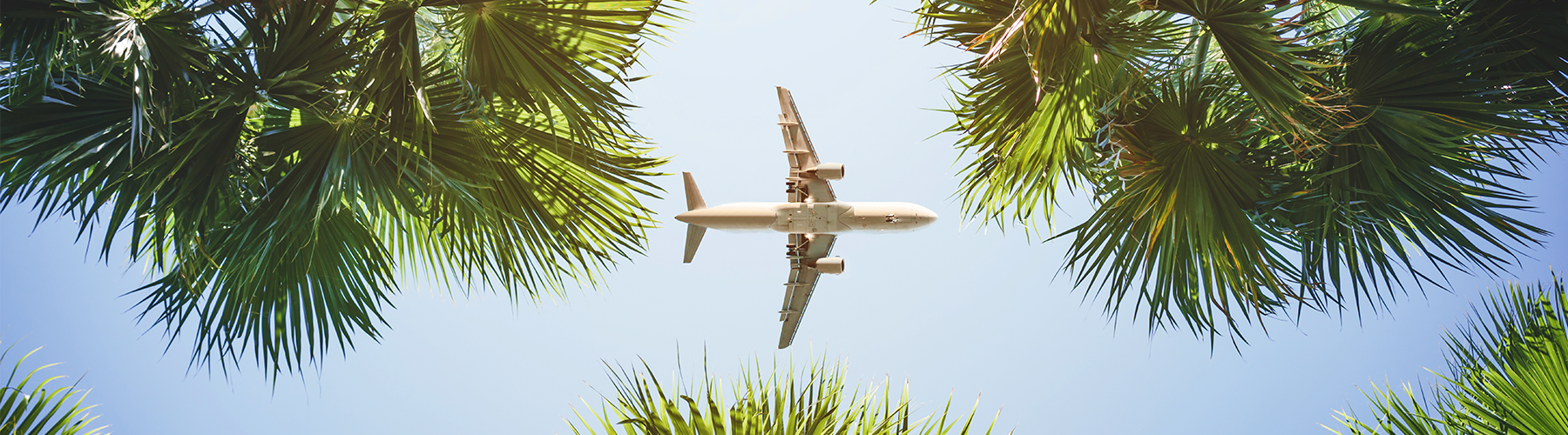 Banner - Viagens de avião: como causar menos poluição