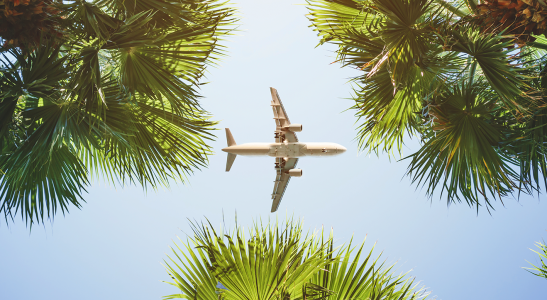 Viagens de avião: como causar menos poluição