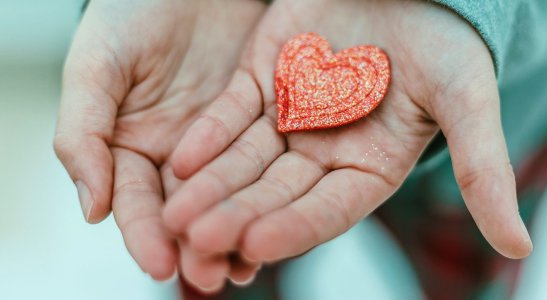 Conheça 6 tipos de seguro de vida e descubra qual é o melhor para você