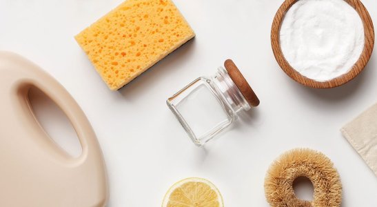 Diferenciais, marcas e receitas DIY para uma limpeza mais sustentável