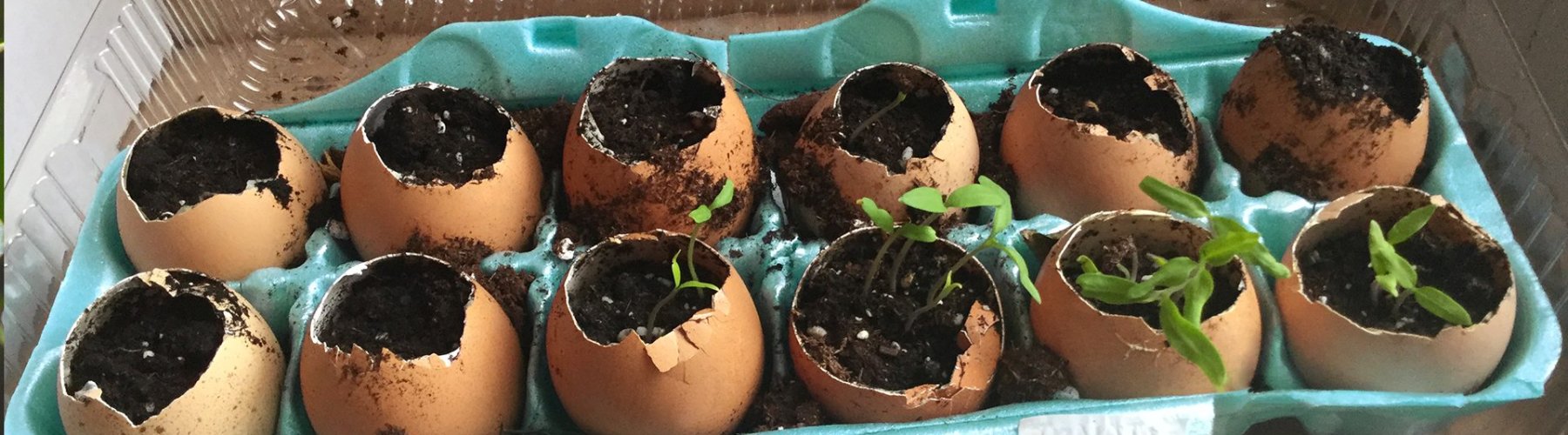 Banner - 15 receitas para reaproveitar objetos e alimentos