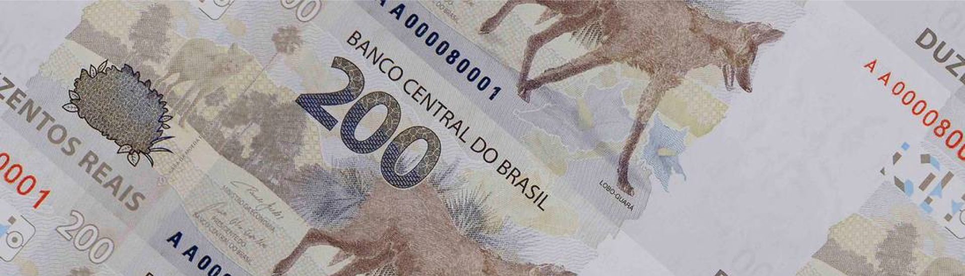 Descubra mais sobre a nota de 200 reais no post!