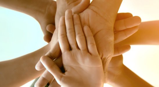 Saiba mais sobre a comemoração do Dia C, o Dia de Cooperar 2021.