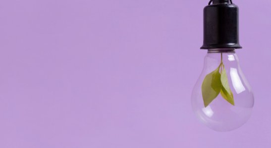 Para aplicar a sustentabilidade na prática, não basta realizar algumas ações pontuais. Confira!