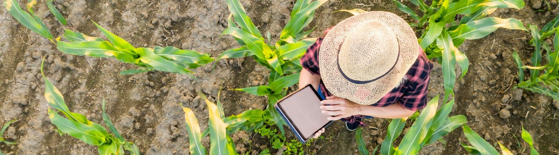 Banner - 5 dicas para melhorar a gestão financeira do agronegócio