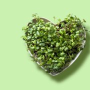 As funções do ESG e sua relevância no contexto atual.