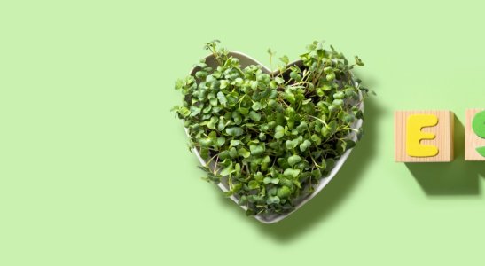 As funções do ESG e sua relevância no contexto atual.