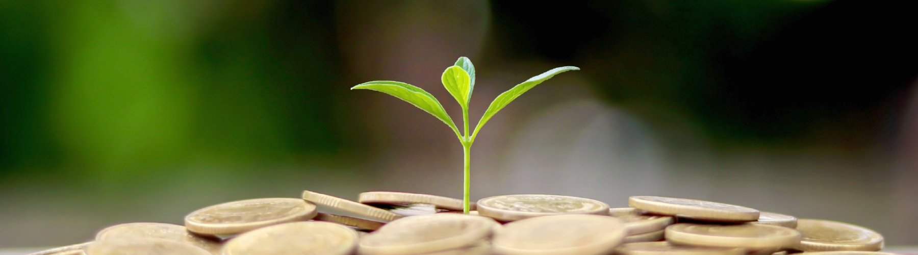 Banner - Sustentabilidade econômica: entenda!